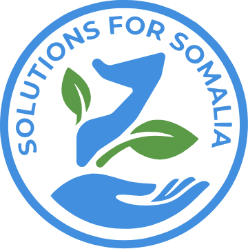 Solutions for Somalia
